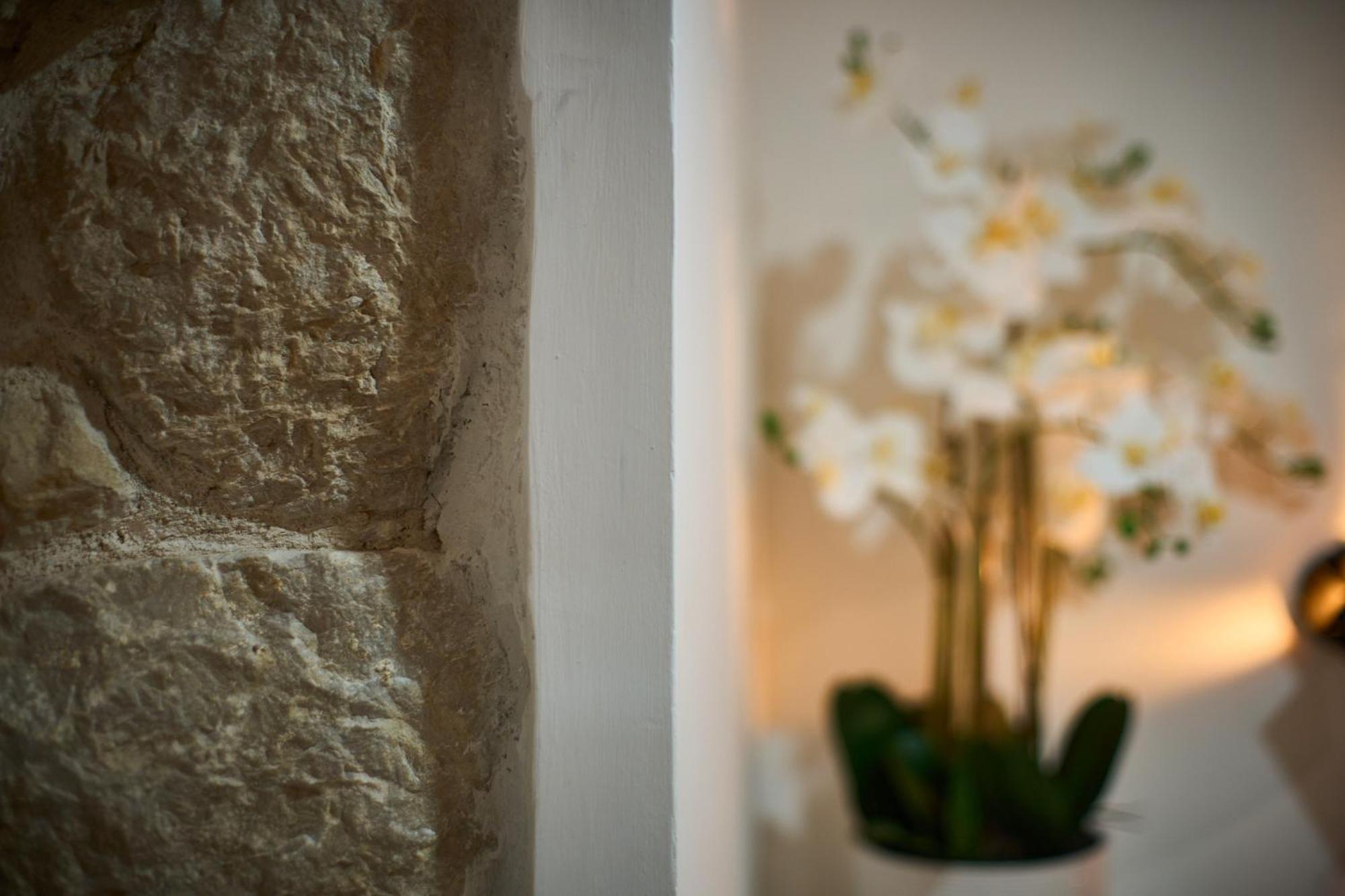 דירות ספליט Bernard Deluxe Renovated Peaceful Old Town Gem מראה חיצוני תמונה